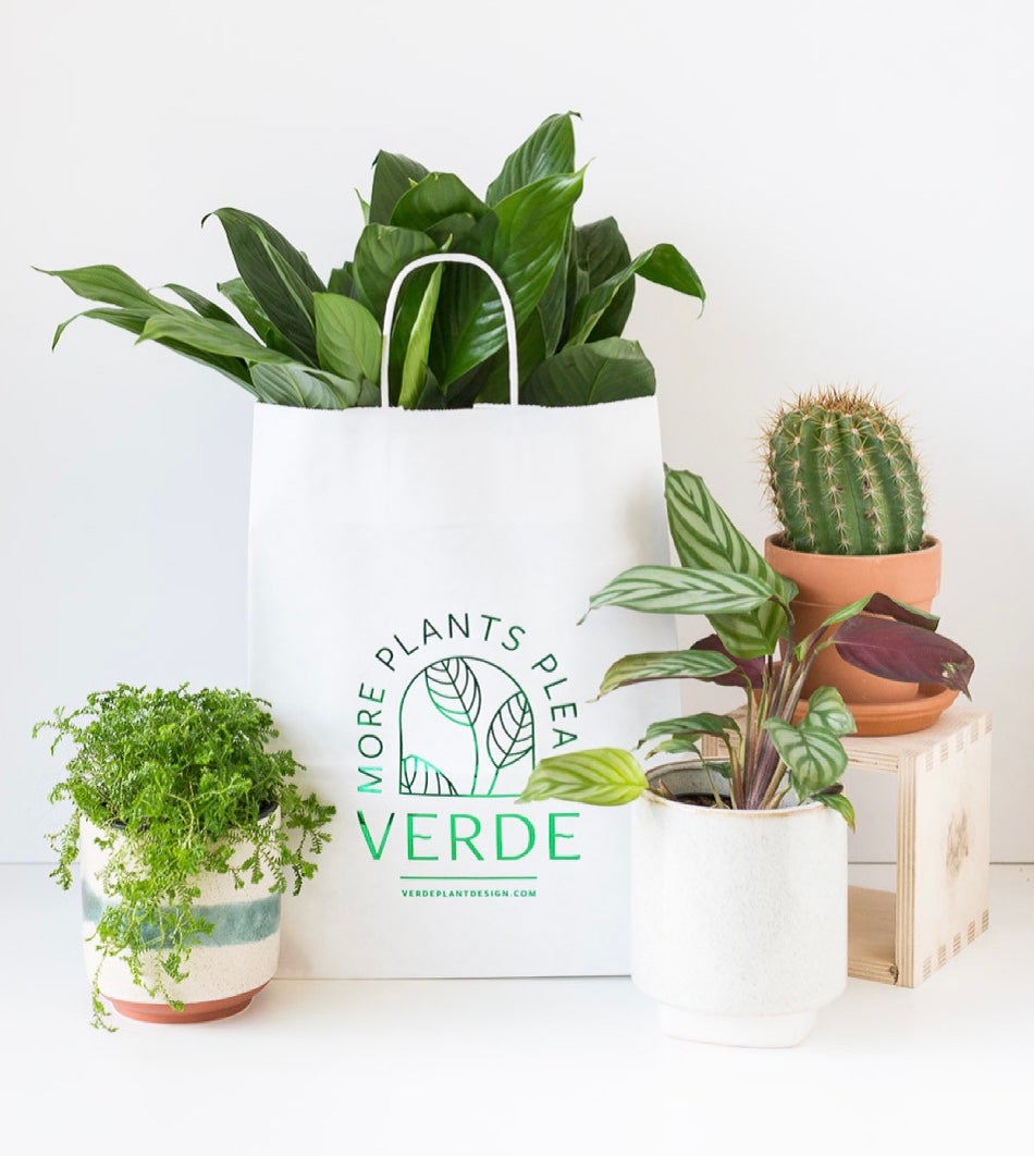 Return Policy  Verde Plant Design